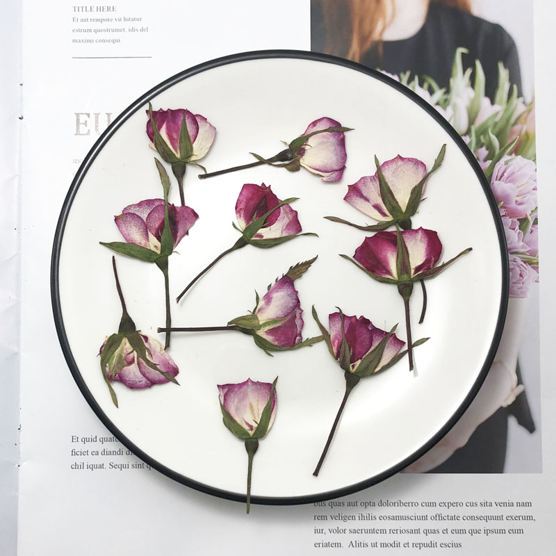 Dried Flower Bookmark - 60Pcs แห้งกดสีคู่ Rose ดอกไม้พืชสมุนไพรสำหรับเครื่องประดับบุ๊คมาร์คโปสการ์ดโทรศัพท์กรณีบัตรเชิญทำ