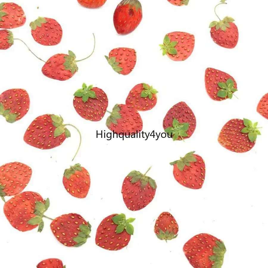 Dried Flower Bookmark - 10pcs DRY Pressed MINI ผลไม้สตรอเบอร์รี่ Peel