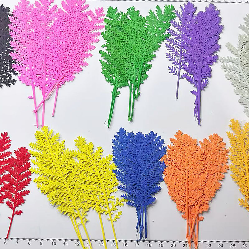Dried Flower Bookmark - ใบไม้สีเงินธรรมชาติ 100 ชิ้น ย้อมสีแล้ว ใช้สำหรับทำกระดาษ ชุดวัสดุงานฝีมือ