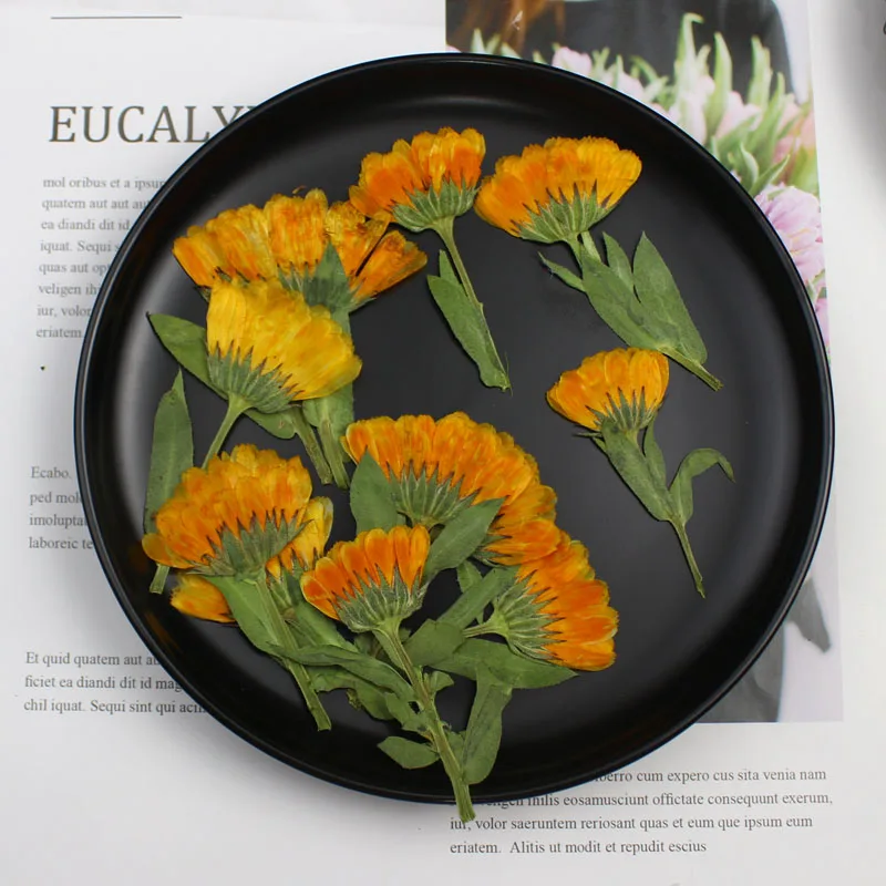 ดาวเรืองทับแห้งด้าน4-6ซม. 60ชิ - Dried Flower Bookmark บทวิจารณ์และราคา