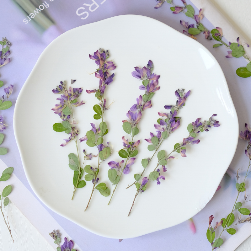 6 ชิ้น, ดอกเลสเปเดซา ฟอร์โมซาแ - Dried Flower Bookmark บทวิจารณ์และราคา
