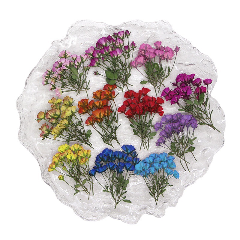 ดอกตูมดอกกุหลาบย้อมสีหลายสีทับ - Dried Flower Bookmark บทวิจารณ์และราคา