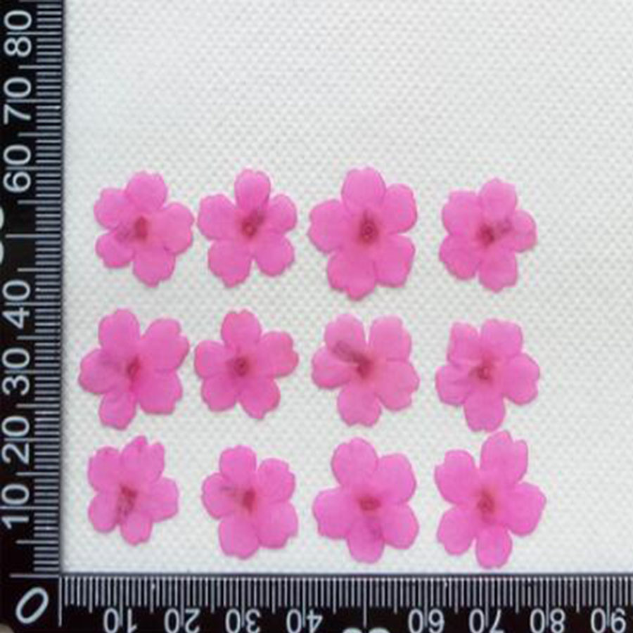 60Pcs 1-2ซม.Pressed Dried ย้อม - Dried Flower Bookmark บทวิจารณ์และราคา