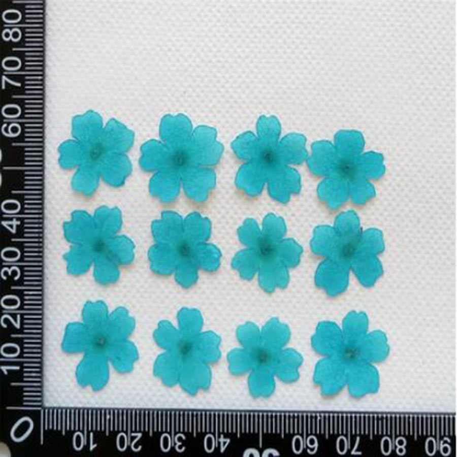 60Pcs 1-2ซม.Pressed Dried ย้อม - Dried Flower Bookmark บทวิจารณ์และราคา