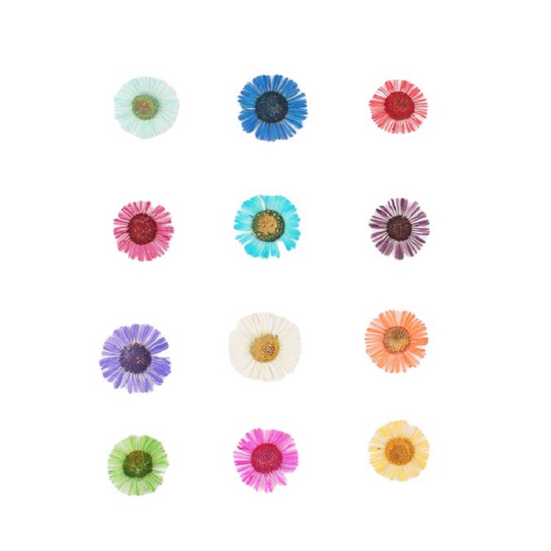 ชุดดอกไม้แห้งอีรีเจรอน แอคริส  - Dried Flower Bookmark บทวิจารณ์และราคา
