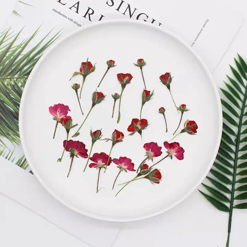 60ชิ้นแห้งด้านข้างสีแดง/สีม่วง - Dried Flower Bookmark บทวิจารณ์และราคา