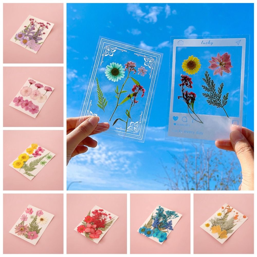 วัสดุ DIY สำหรับทำที่คั่นหนังส - Dried Flower Bookmark บทวิจารณ์และราคา
