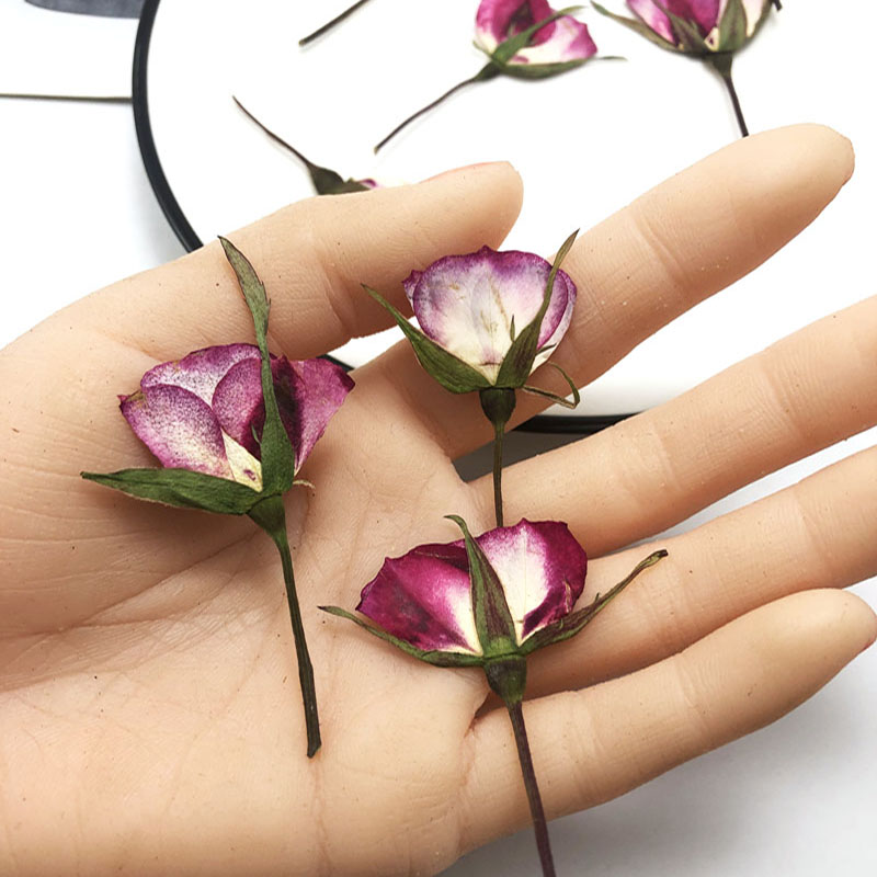 60Pcs แห้งกดสีคู่ Rose ดอกไม้พ - Dried Flower Bookmark บทวิจารณ์และราคา