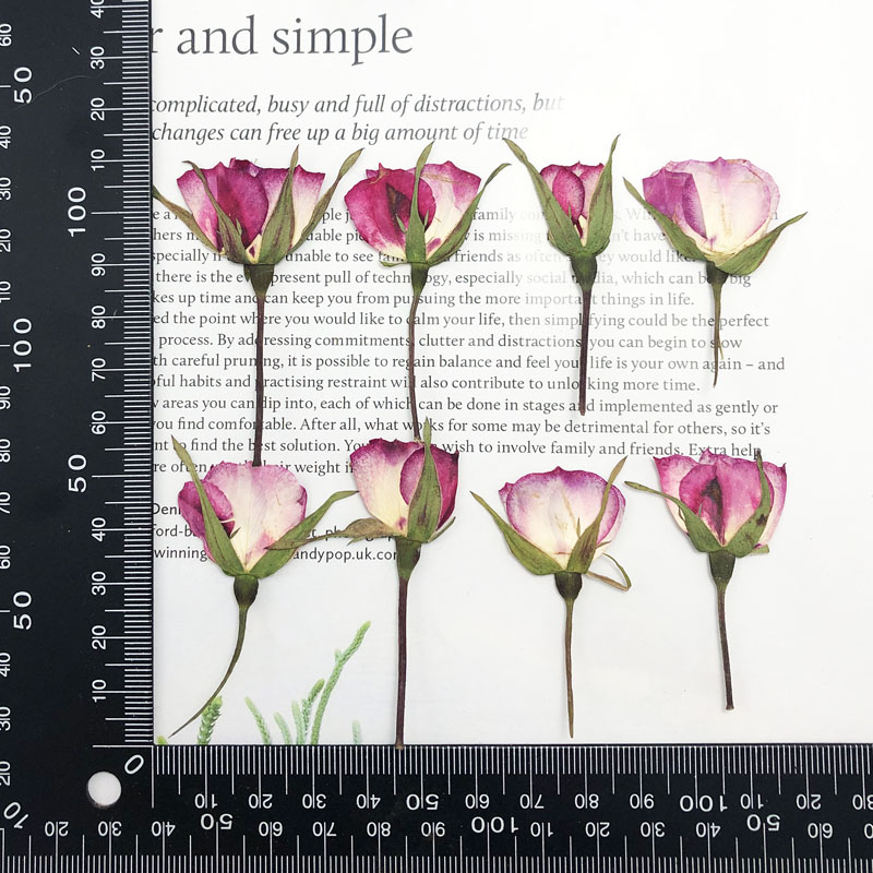 60Pcs แห้งกดสีคู่ Rose ดอกไม้พ - Dried Flower Bookmark บทวิจารณ์และราคา