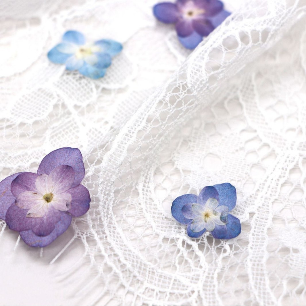 ดอกไฮเดรนเยียแห้งแบบดอกคู่ขนาด - Dried Flower Bookmark บทวิจารณ์และราคา